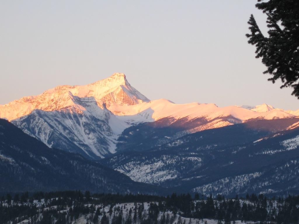 Deere Ridge Cabins Hotel Invermere Exterior foto