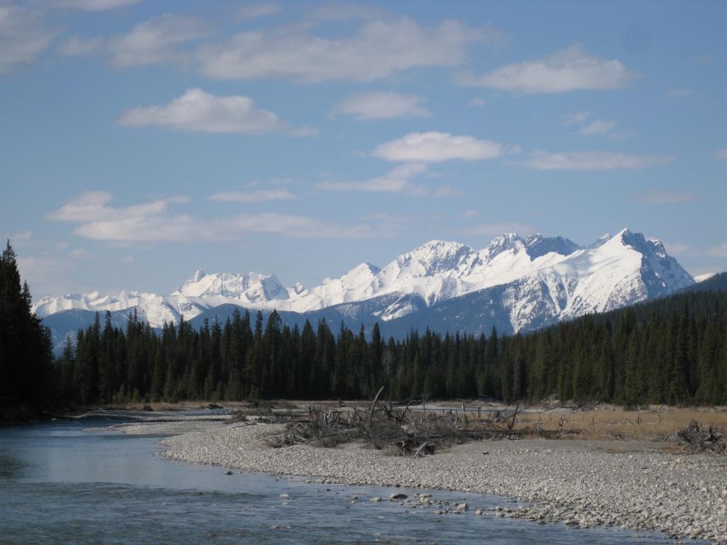 Deere Ridge Cabins Hotel Invermere Exterior foto