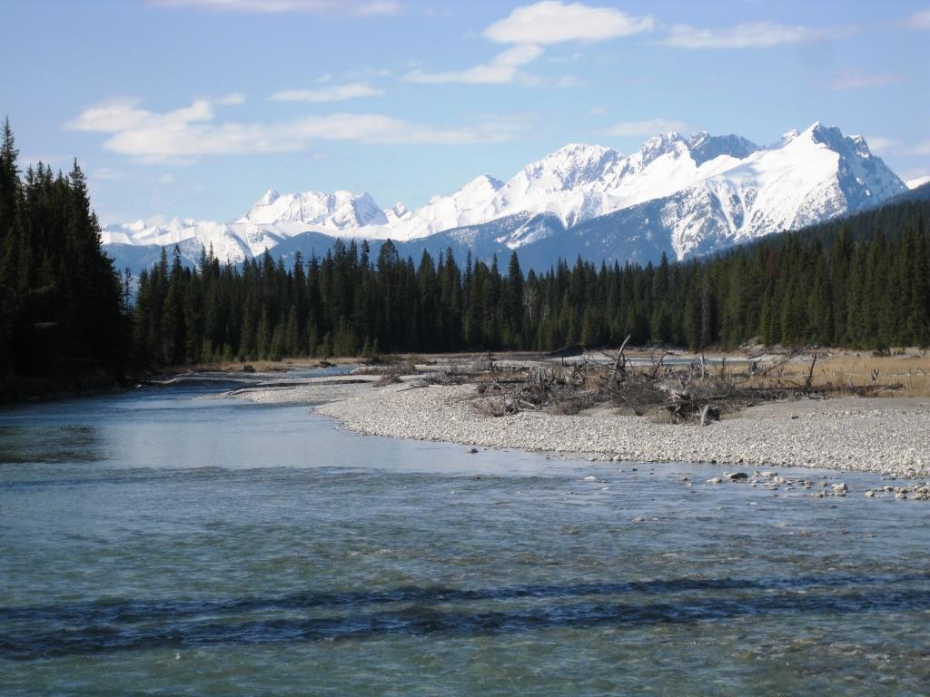 Deere Ridge Cabins Hotel Invermere Exterior foto