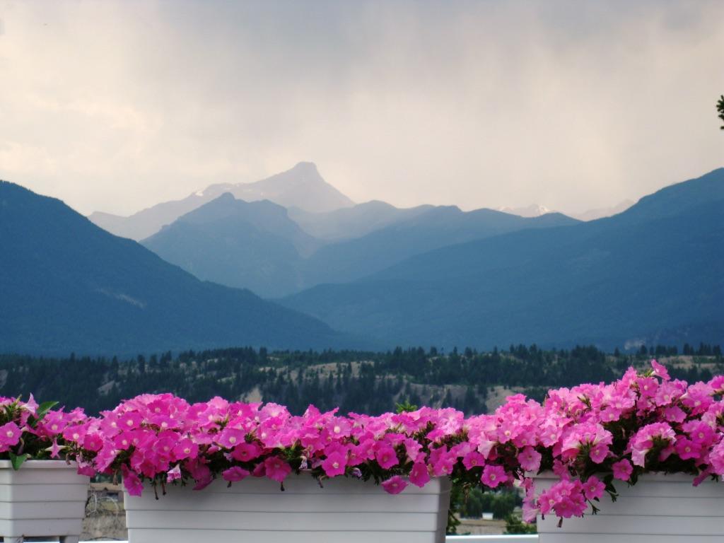 Deere Ridge Cabins Hotel Invermere Exterior foto